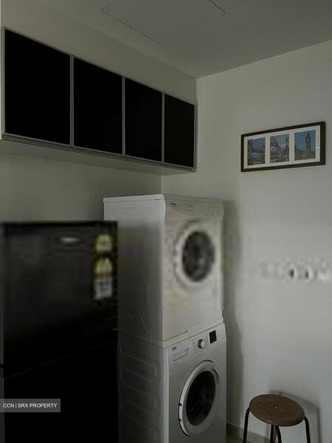 Cavan Suites (D8), Apartment #585028571